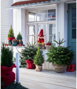 Dehner Pflanzenfolien & Ernteschutz|Mehr Blumentopfzubehör - Winterschutz-Jutegewebe, ca. L300/B105 cm Dunkelgrün