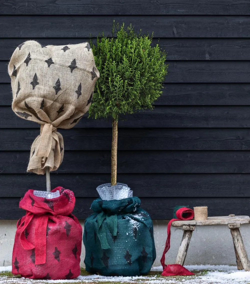 Dehner Pflanzenfolien & Ernteschutz|Mehr Blumentopfzubehör > Winterschutz Jute-Sack mit Relief