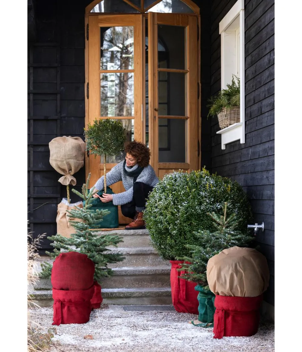 Dehner Pflanzenfolien & Ernteschutz|Mehr Blumentopfzubehör > Winterschutz Vlies