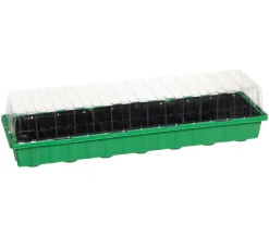 Dehner Zimmergewächshaus Frans, 54 x 15 x 12 cm Grün Sale