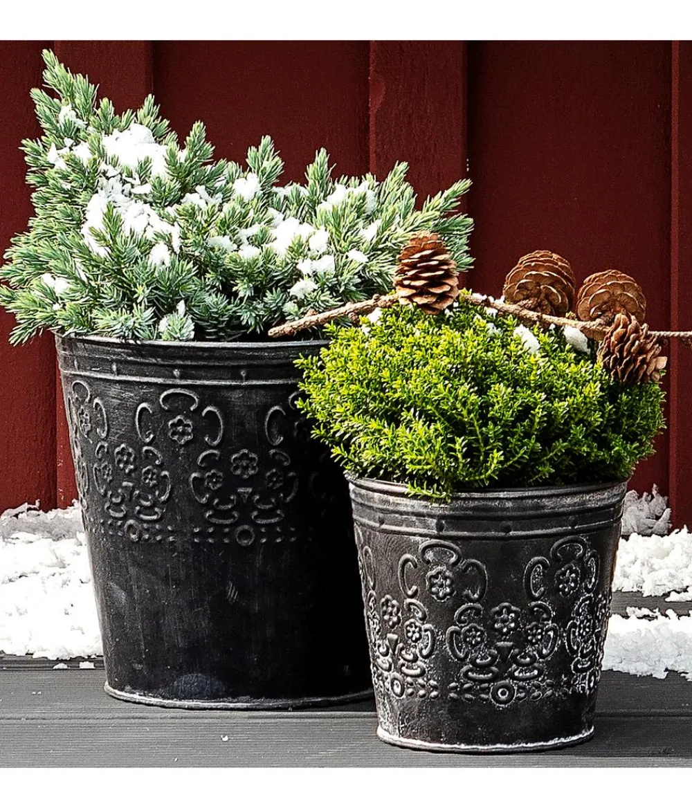 Dehner Pflanzkübel & Blumenkästen > Zinktopf
