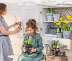 Dehner Pflanzkübel & Blumenkästen > Zinktopf Ornamente