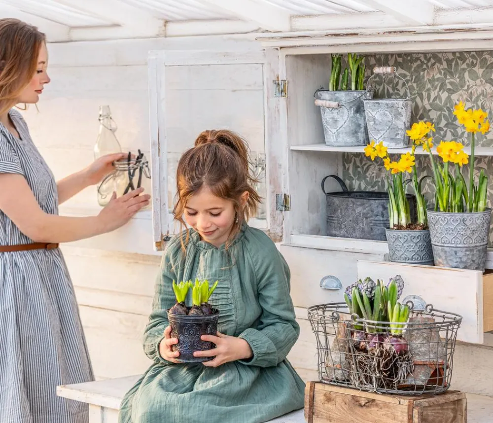 Dehner Pflanzkübel & Blumenkästen > Zinktopf Ornamente