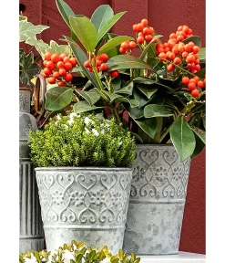 Dehner Pflanzkübel & Blumenkästen - Zinktopf Ornamente Grau