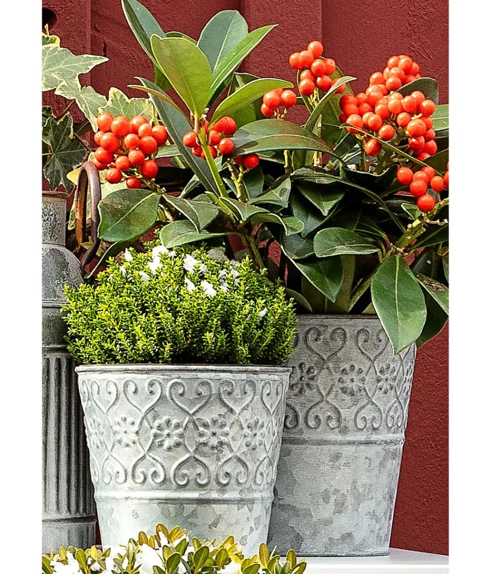 Dehner Pflanzkübel & Blumenkästen - Zinktopf Ornamente Grau