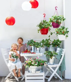 Dehner Pflanzkübel & Blumenkästen - Zink-Topf, rund, Silber