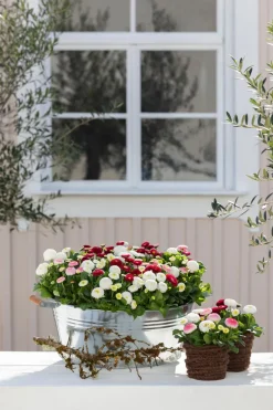 Dehner Mehr Gartendekoration|Blumenampeln & -Schalen > Zink-Wanne mit Holzgriffen, rund,