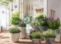 Dehner Mehr Gartendekoration|Blumenampeln & -Schalen - Zink-Wanne mit Holzgriffen, rund, Silber