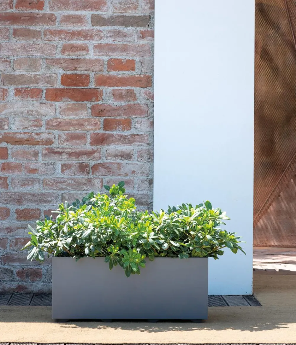 Deroma Pflanzkübel & Blumenkästen > Kunststoff-Kasten Millenium, rechteckig