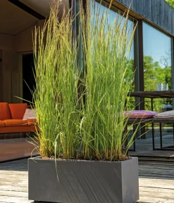 Deroma Pflanzkübel & Blumenkästen - Kunststoff-Kasten Millenium, rechteckig Anthrazit