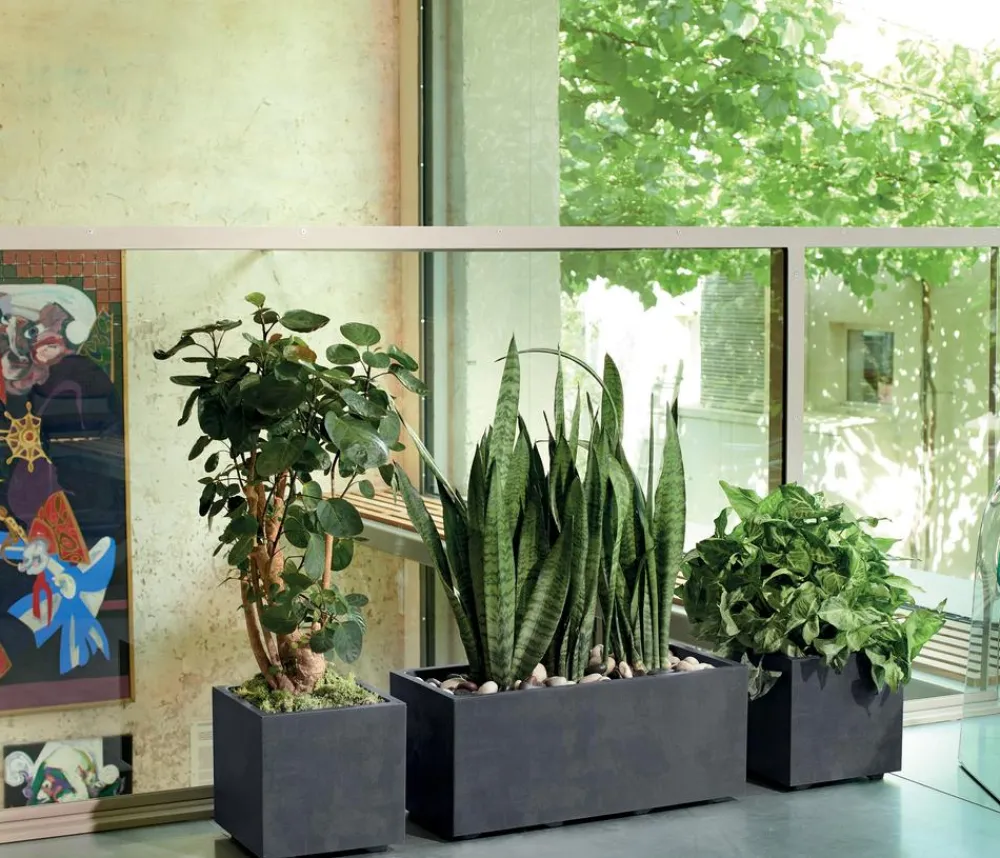 Deroma Pflanzkübel & Blumenkästen > Kunststoff-Topf Millenium, quadratisch