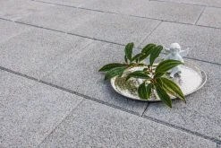 DIEPHAUS Steine & Terrassenplatten > Terrassenplatte PREMIUM