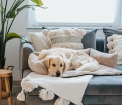 District70 Mehr Hundeschlafplätze - Ditrict 70 Hundeofa Nuzze Taupe