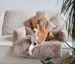 District70 Ditrict 70 Hundeofa Nuzze Taupe Online