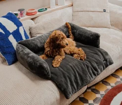 District70 Ditrict 70 Hundeofa Nuzze Dunkelgrau Outlet