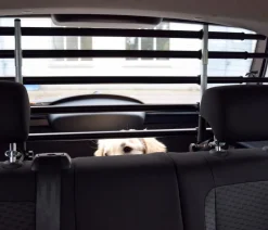 dobar® petlife Mehr Transport & Unterwegs > Autotrenngitter Walky Barrier