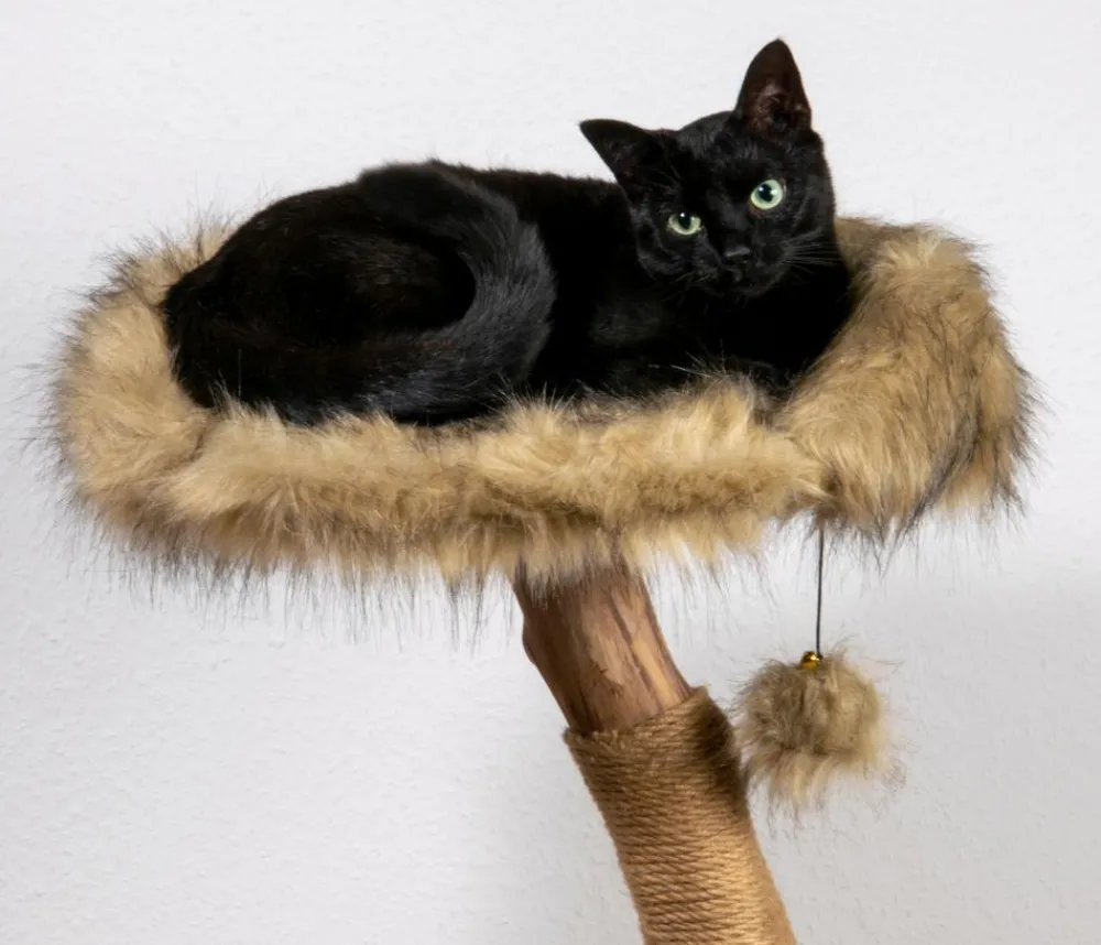 dobar® petlife Kratzbäume & Kratzmöbel - Design-Katzenmöbel Ruby, ca. B45/H88/T45 cm Braun