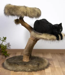 dobar® petlife Kratzbäume & Kratzmöbel - Design-Kratzbaum Jimmy, , ca. B50/H78/T50 cm Braun