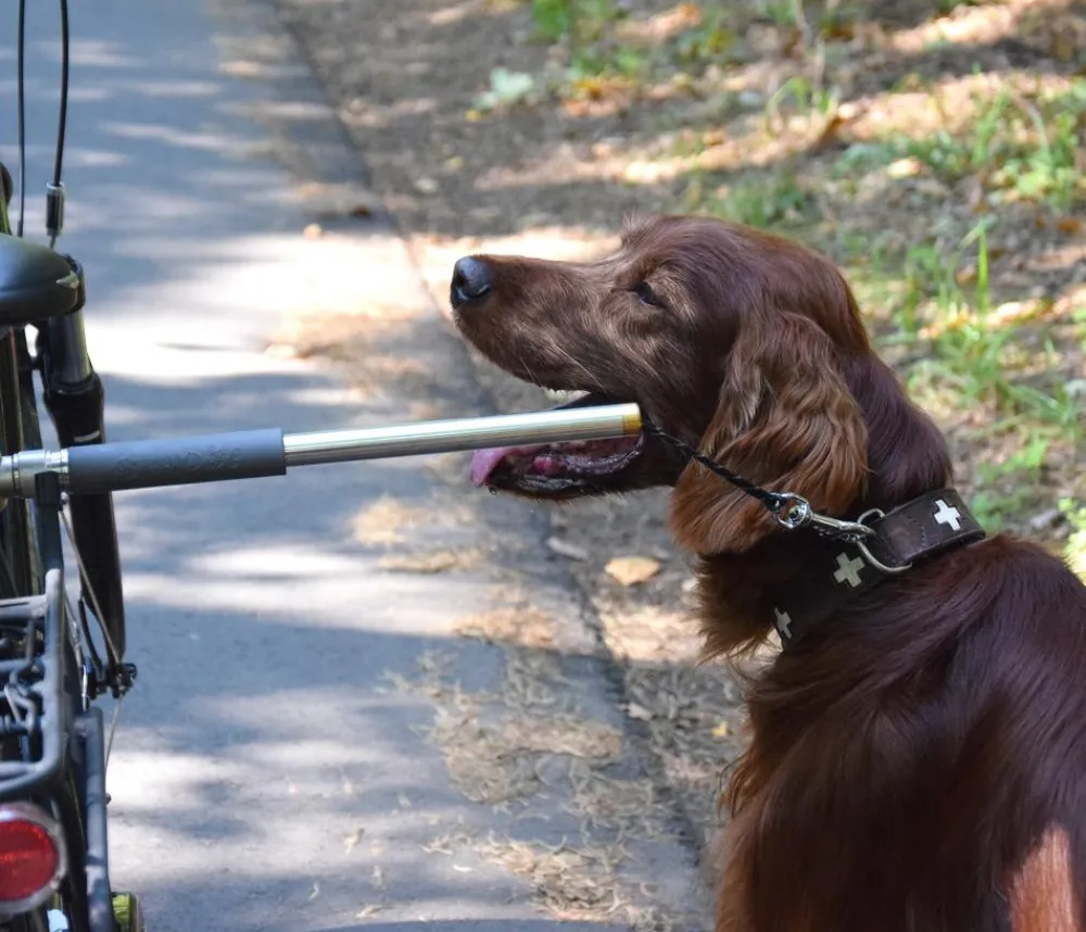 dobar® petlife Mehr Transport & Unterwegs > Fahrradleine Walky Dog Plus