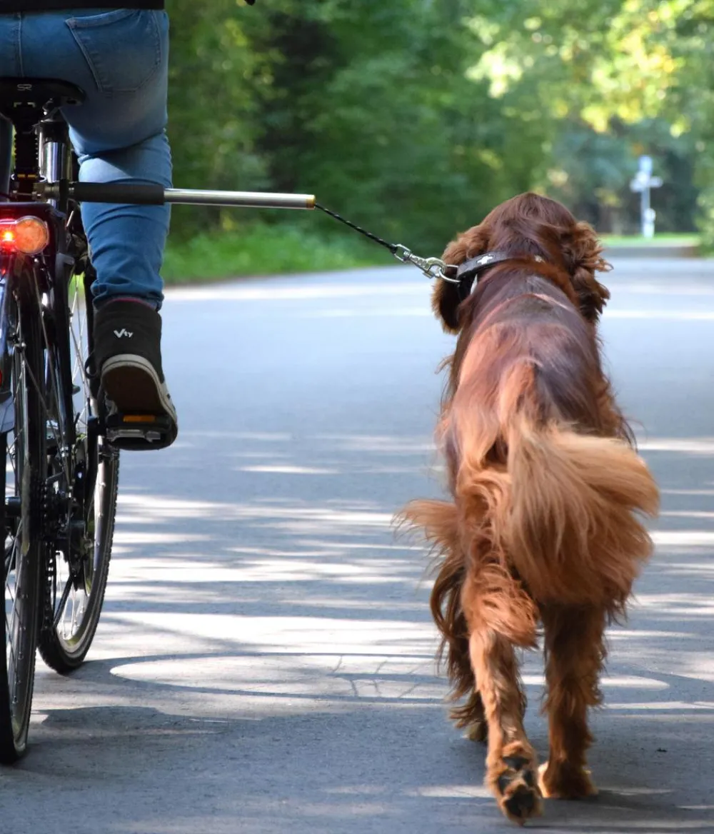 dobar® petlife Mehr Transport & Unterwegs > Fahrradleine Walky Dog Plus