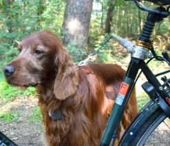 dobar® petlife Mehr Transport & Unterwegs > Fahrradleine Walky Dog Plus