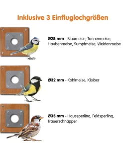 dobar® wildlife Nistkasten Brunhilde, inkl. Kamera, ca. B22,5/H38,5/T35,5 cm Natur