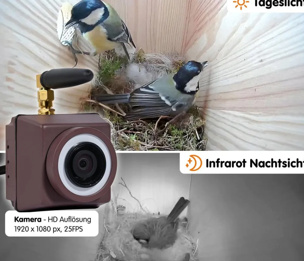 dobar® wildlife Nistkästen - Nistkasten Karsten, inkl. Kamera, ca. B22,5/H53/T25,5 cm