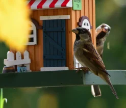 dobar® wildlife Vogelhaus Café, Kiefer, /, ca. B18/H23/T18 cm Outlet