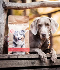 DOG'S LOVE Trockenfutter Hund > Trockenfutter für Hunde Adult
