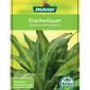 Dehner Drachenbaum - Dracaena fragrans 'Massangeana', Karussell Discount