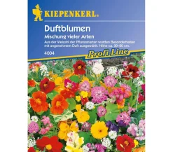 Nebelung/Kiepenkerl Duftblumen Mix, Saatgut von Kiepenkerl Bunt Discount