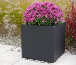 eastwest Pflanzkübel & Blumenkästen|Blumentöpfe & Übertöpfe > Fiberglas-Pflanzkübel Supremo, quadratisch