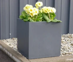 eastwest Fiberglas-Pflanzkübel, quadratisch Anthrazit Outlet