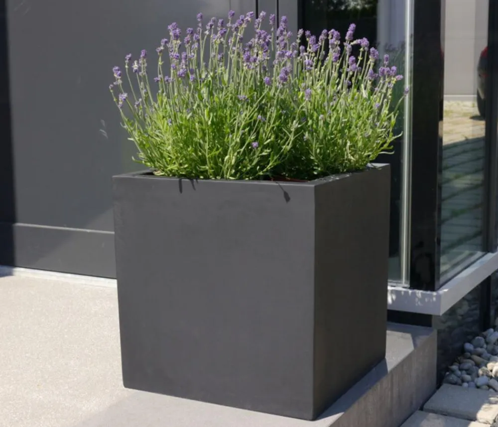eastwest Pflanzkübel & Blumenkästen|Blumentöpfe & Übertöpfe - Fiberglas-Pflanzkübel, quadratisch Schwarz