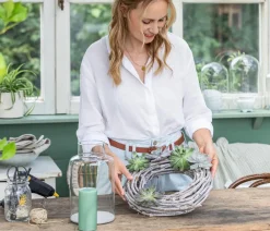 Dehner Sukkulenten|Zimmerpflanzen-Sets > Echeverien-Set - Echeveria, 5-teilig, verschiedene Sorten