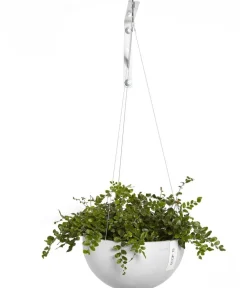 Ecopots Blumenampeln & -Schalen - Kunststoff-Ampel Brussels mit Wassersystem, rund Weiß