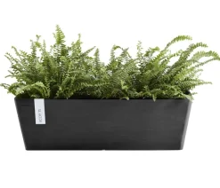 Ecopots Pflanzkübel & Blumenkästen > Kunststoff-Kasten Bruges mit Wassersystem, rechteckig