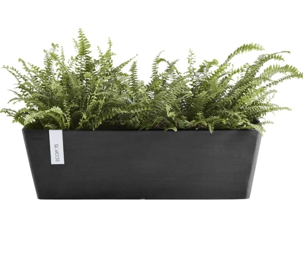 Ecopots Kunststoff-Kasten Bruges mit Wassersystem, rechteckig Dunkelgrau New