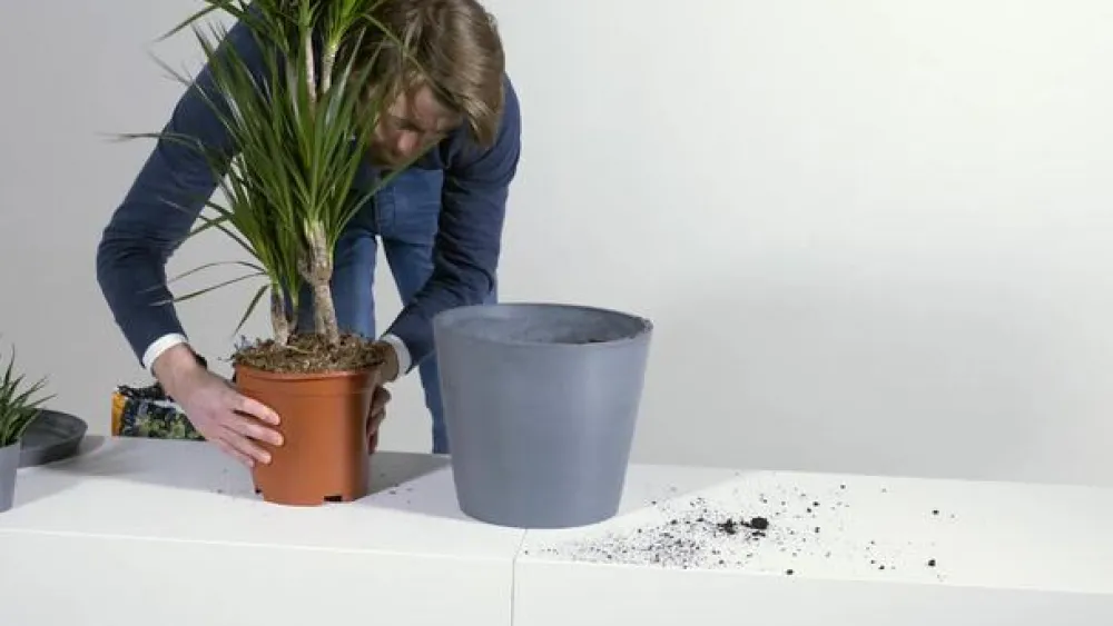 Ecopots Pflanzkübel & Blumenkästen - Kunststoff-Kasten Bruges mit Wassersystem, rechteckig Grau
