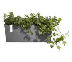 Ecopots Pflanzkübel & Blumenkästen|Blumentöpfe & Übertöpfe - Kunststoff-Kasten Bruges hängend, rechteckig, , ca. B55/H21/T20 cm Grau
