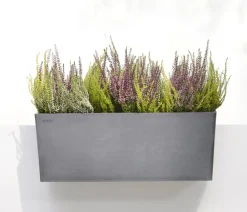 Ecopots Pflanzkübel & Blumenkästen|Blumentöpfe & Übertöpfe - Kunststoff-Kasten Bruges hängend, rechteckig, , ca. B55/H21/T20 cm Grau