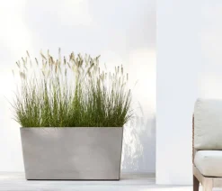 Ecopots Pflanzkübel & Blumenkästen > Kunststoff-Kasten Paris mit Rollen, rechteckig