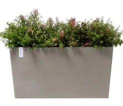 Ecopots Pflanzkübel & Blumenkästen > Kunststoff-Kasten Paris mit Rollen, rechteckig