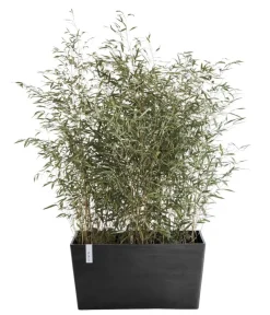 Ecopots Pflanzkübel & Blumenkästen > Kunststoff-Kasten Paris, rechteckig