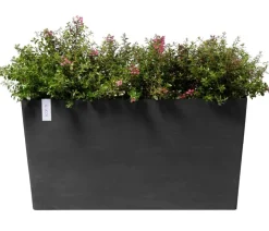 Ecopots Kunststoff-Kasten Paris mit Rollen, rechteckig Dunkelgrau Clearance