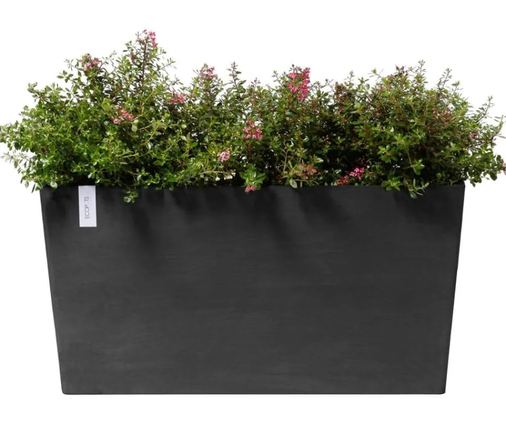 Ecopots Kunststoff-Kasten Paris mit Rollen, rechteckig Dunkelgrau Clearance