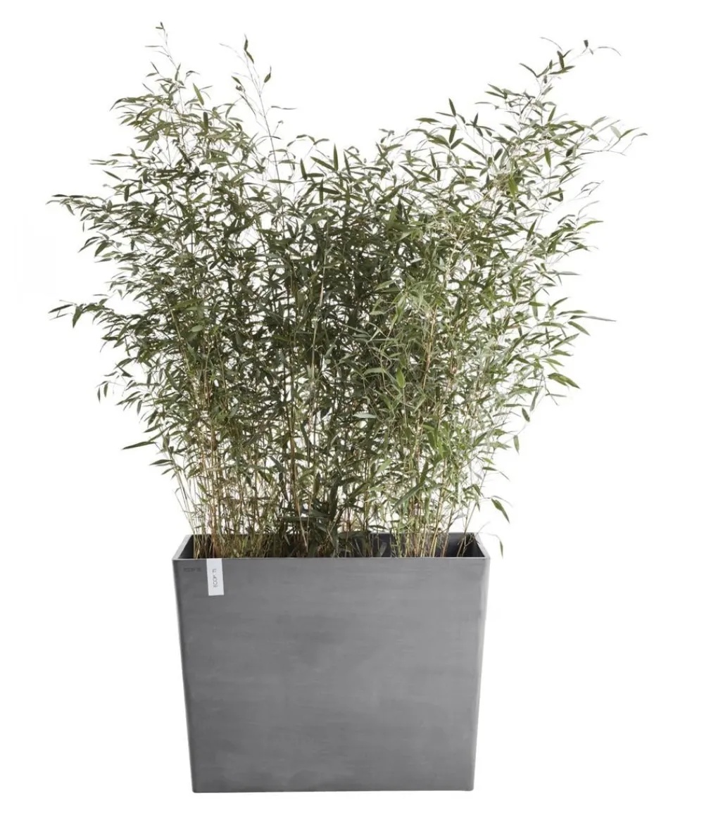 Ecopots Kunststoff-Kasten Paris mit Rollen, rechteckig Grau
