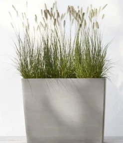 Ecopots Pflanzkübel & Blumenkästen - Kunststoff-Kasten Paris mit Rollen, rechteckig Taupe