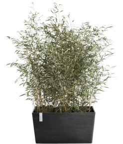 Ecopots Kunststoff-Kasten Paris, rechteckig Dunkelgrau Discount