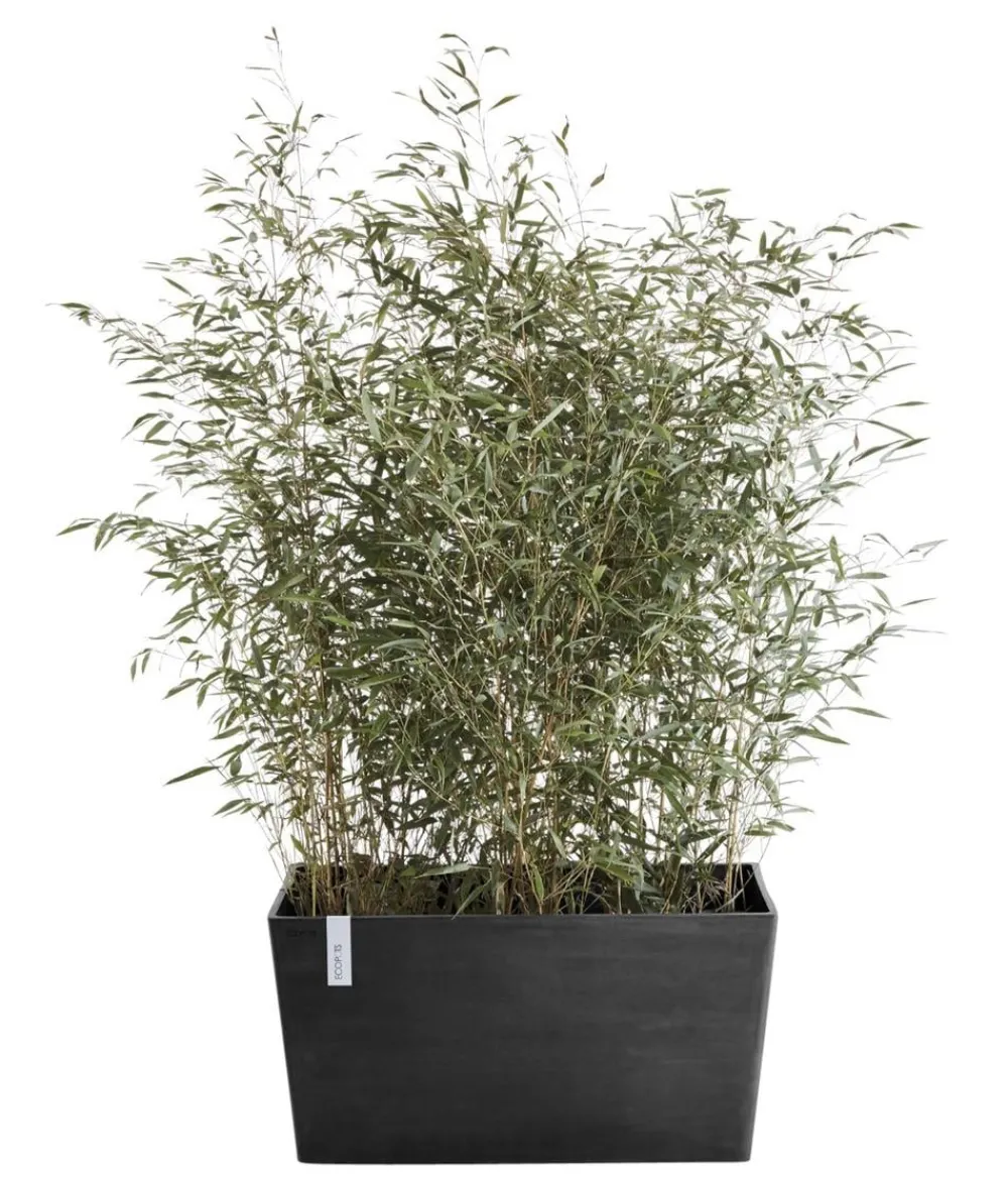 Ecopots Kunststoff-Kasten Paris, rechteckig Dunkelgrau Clearance